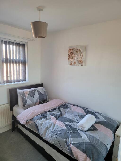 2 Bedroom End Of Terrace House Wellington  Exteriör bild